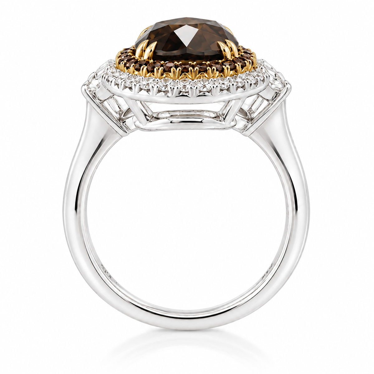 Fancy Dark Orangy Brown Ring