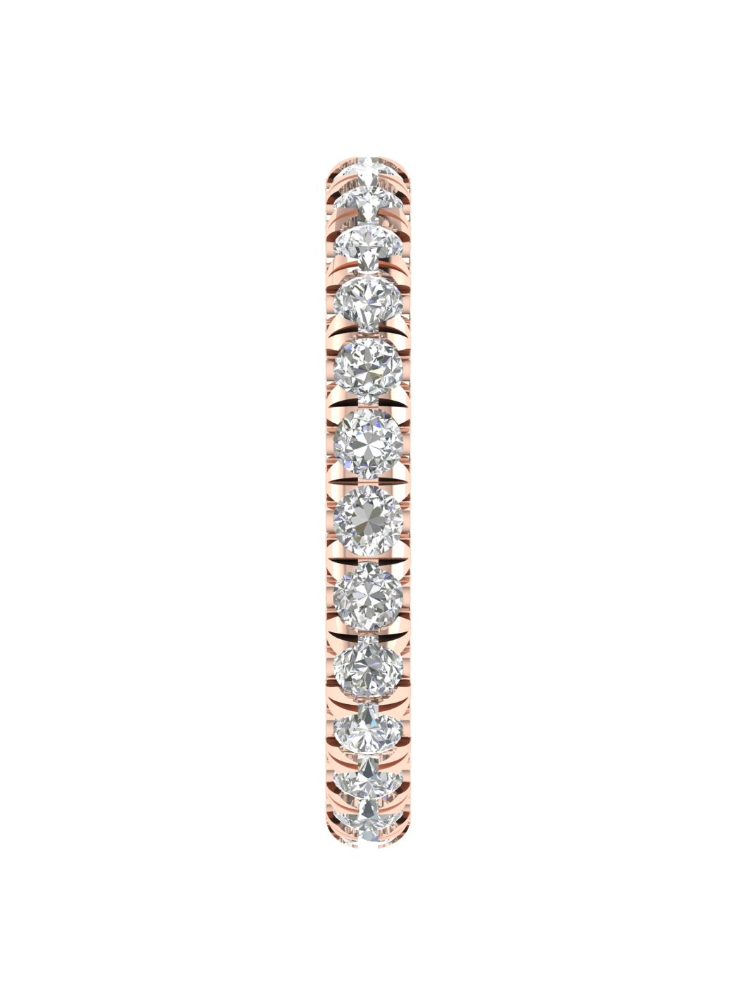 Rose Eternity Band